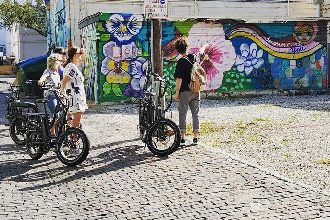 Electric Bike Guided City & Mural Tour - Authentic Insights from Reviewers