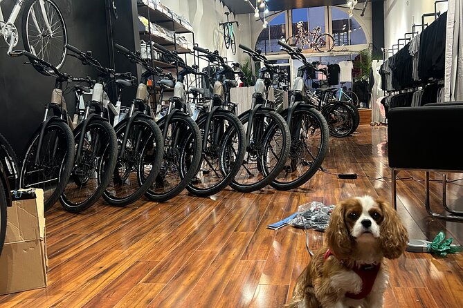 electric-bike-rental-in-santa-barbara-2