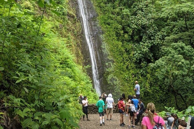 Electric Bike Ride & Manoa Falls Hike Tour - FAQs