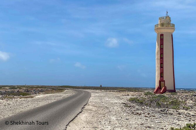 electric-bike-south-tour-with-local-guide-by-fatbike