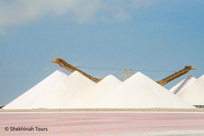 electric-bike-south-tour-with-local-guide-by-fatbike