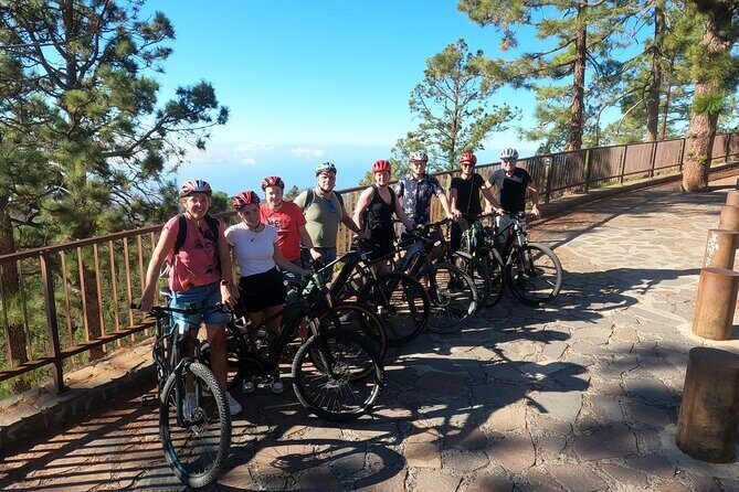 Electric Bike Teide Volcano Guided Tour - Final Thoughts: Who Will Love This Tour?