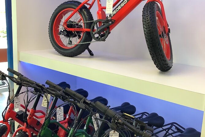 electric-bikes-rental-in-dunedin