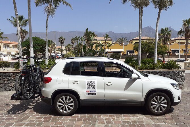 Electric City Bike Rental Tenerife - Why This Rental Service Stands Out