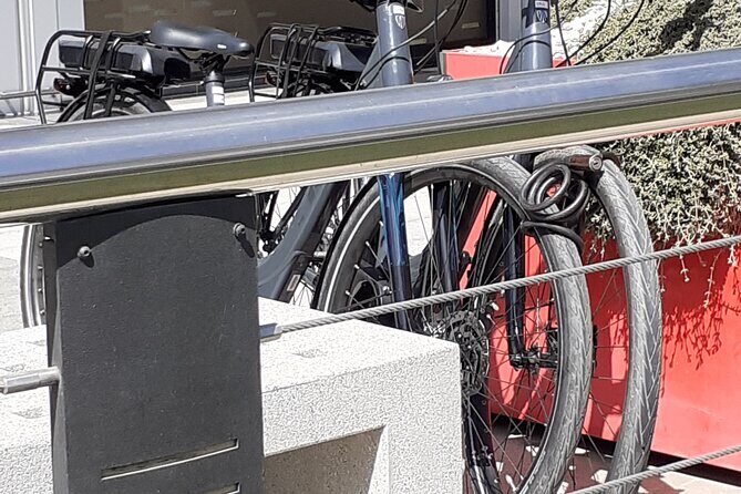 Electric City Bike Rental Tenerife - Who Will Love This Experience?