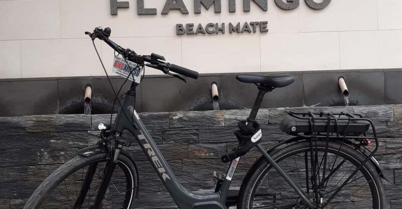 electric-city-bike-rental-with-hotel-delivery