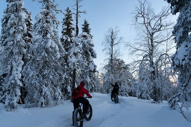 electric-fatbike-tour-in-winter