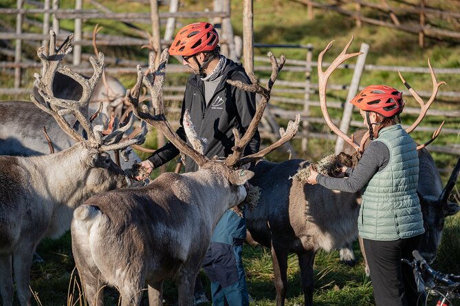 electric-fatbike-trip-to-the-reindeer-farm