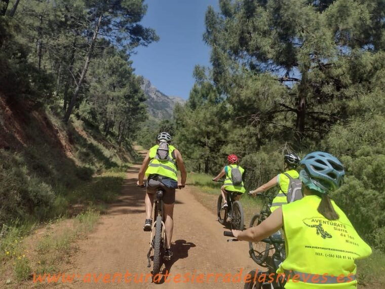 electric-mountain-bike-in-sierra-de-las-nieves-national-park-2