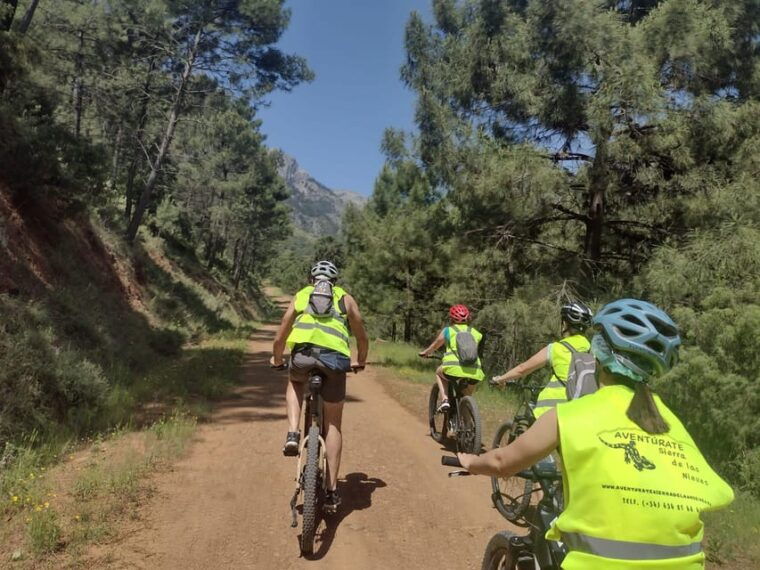 electric-mountain-bike-in-sierra-de-las-nieves-national-park