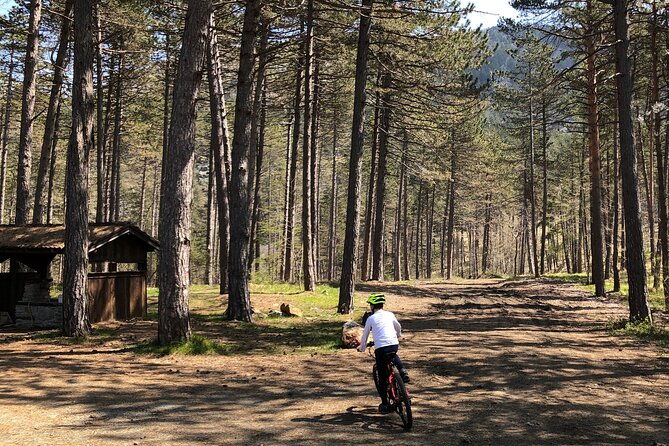 electric-mountain-bike-rental-in-bobbio