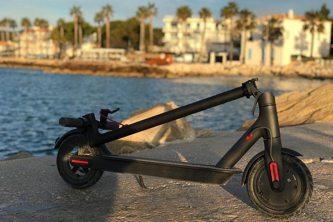 electric-scooter-rental-3