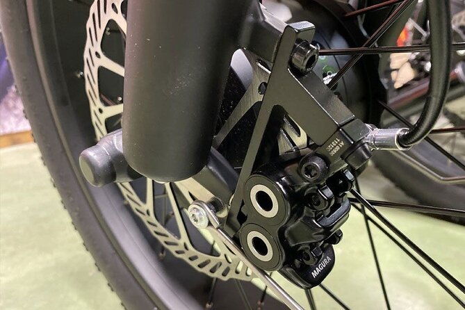 electric-scooter-tour-in-hossegor-2