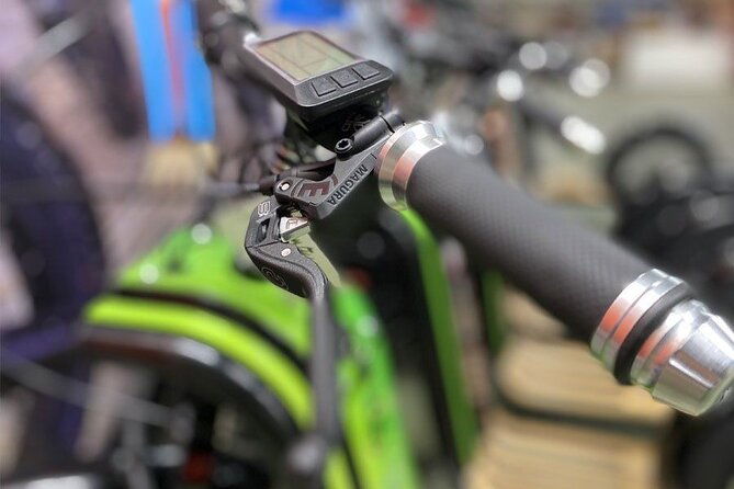electric-scooter-tour-in-hossegor