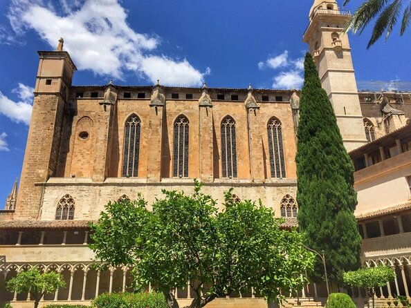 electric-scooter-tour-in-palma-de-mallorca