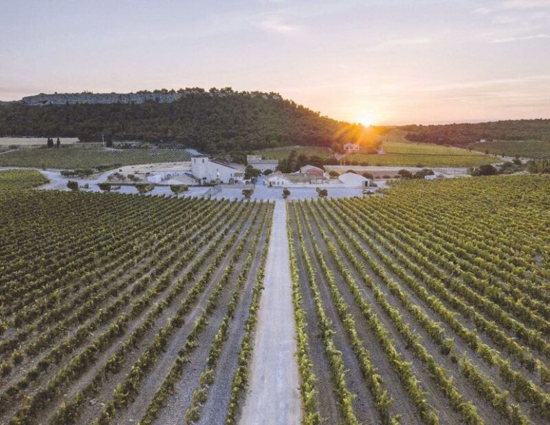 electric-scooter-tour-of-our-vineyard-and-wine-tasting