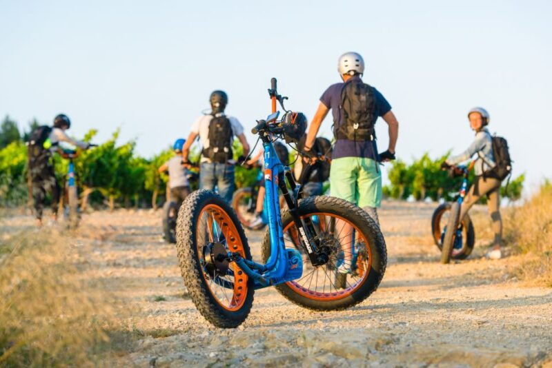 electric-scooter-tour-of-our-vineyard-and-wine-tasting