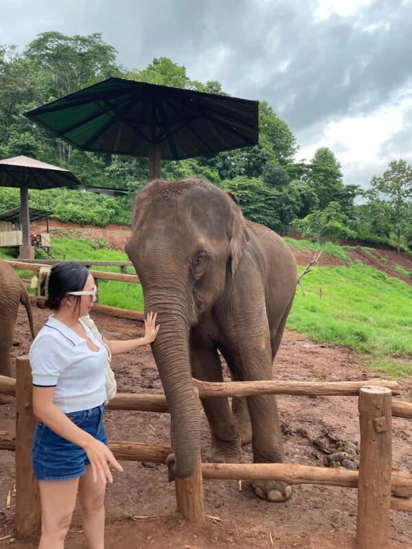 Elefin Farm & Cafe Half-day tour with Private Car - Exploring the Itinerary in Detail