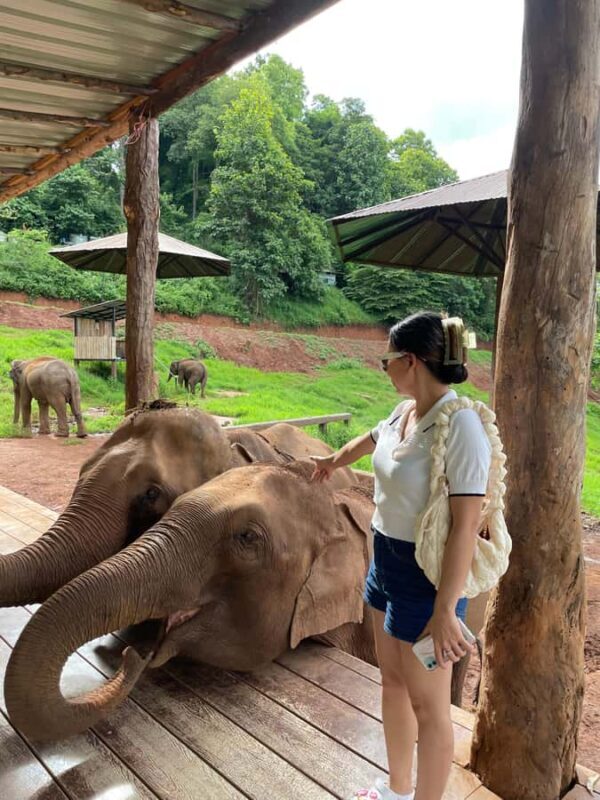 Elefin Farm & Cafe Half-day tour with Private Car - Practical Aspects & Tips for Travelers