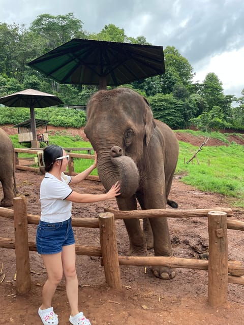elefin-farm-cafe-half-day-tour-with-private-car