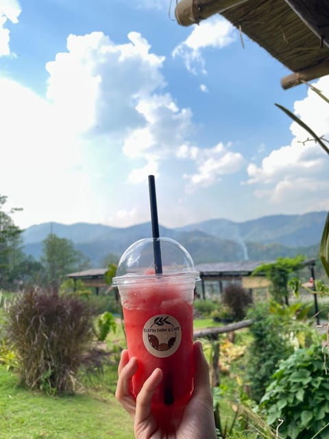 elefin-farm-cafe-half-day-tour-with-private-car