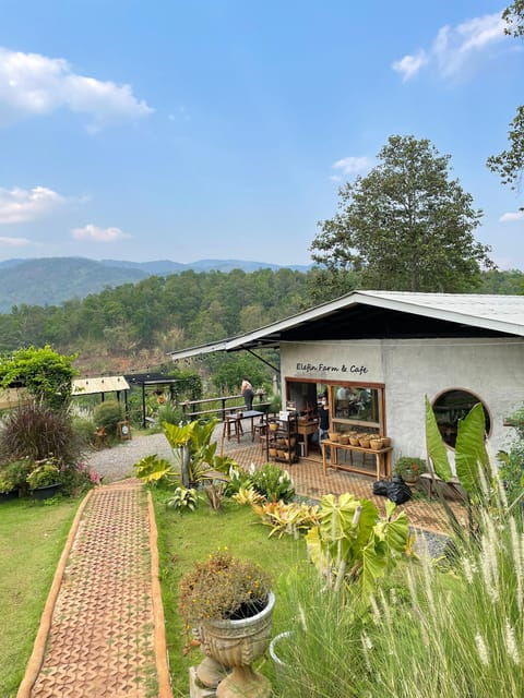 elefin-farm-cafe-half-day-tour-with-private-car