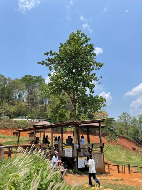 elefin-farm-cafe-half-day-tour-with-private-car