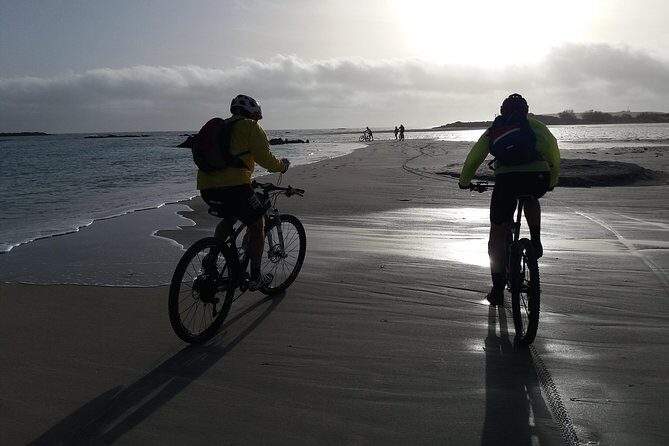 Eleftherna E-Bike and MTB Tour - Experience The Authentic Crete - Who Will Love This Tour?