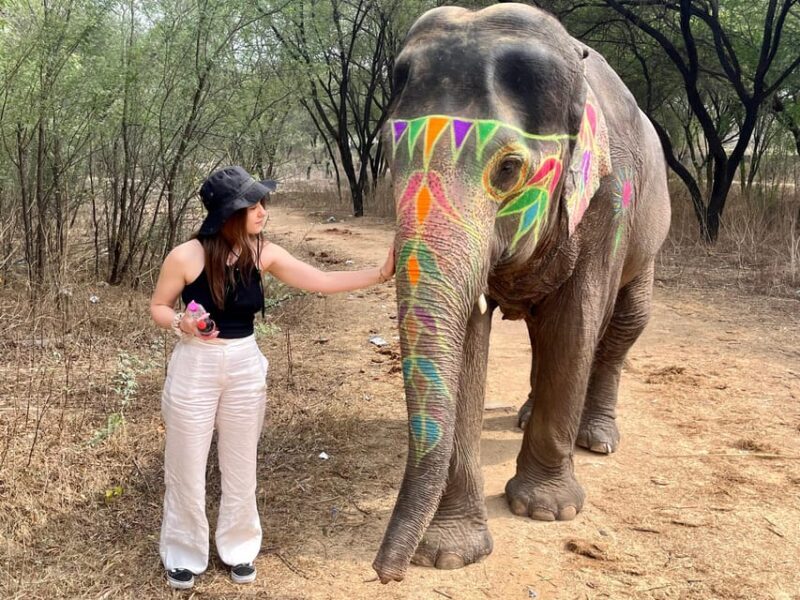 Elefun Best Elephant Sanctuary in Jaipur - Key Points