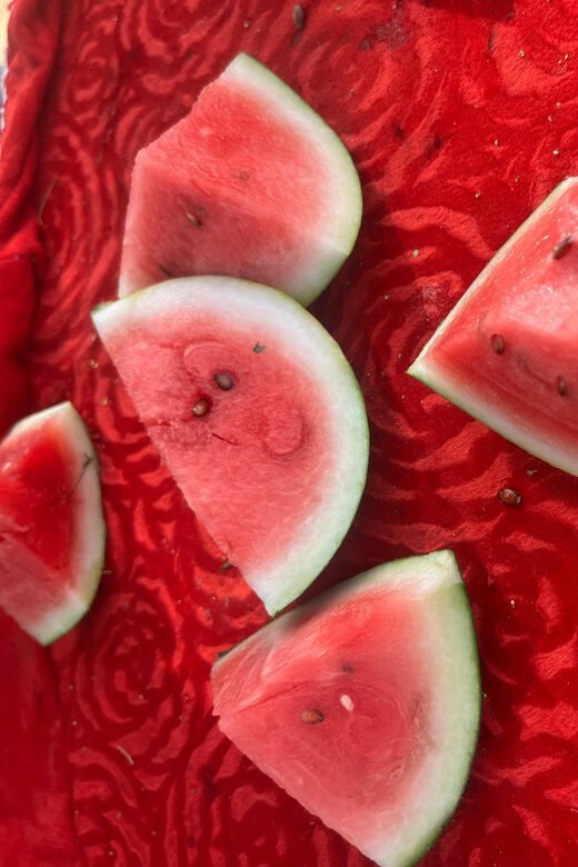 Elefun Best Elephant Sanctuary in Jaipur - Introduction to the Elefun Elephant Sanctuary Experience