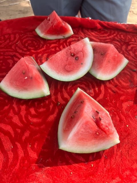 Elefun Best Elephant Sanctuary in Jaipur - Authentic Experiences Based on Reviews