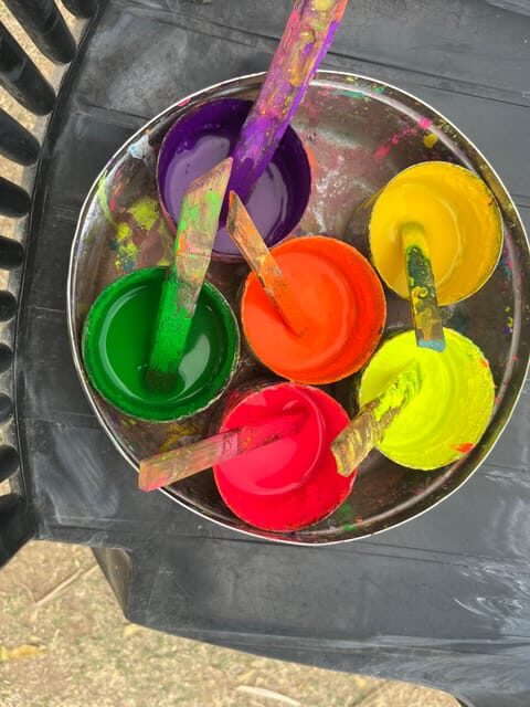 Elefun Best Elephant Sanctuary in Jaipur - Practical Tips for Your Visit