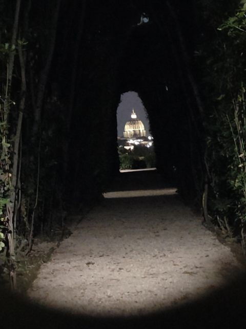 elegant-rome-by-night-tour-and-dinner-in-a-local-restaurant