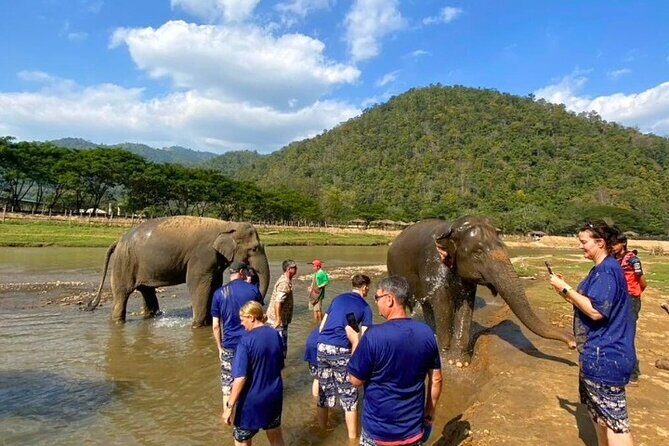 Elephant Care and Sticky Waterfalls (Bua Thong Waterfalls) Tour - In-Depth Look at the Tour