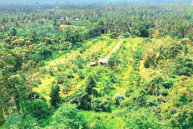 Elephant Care Experience - FAQ