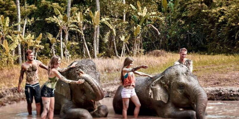 elephant-care-experience-with-mud-bath-at-bali-zoo