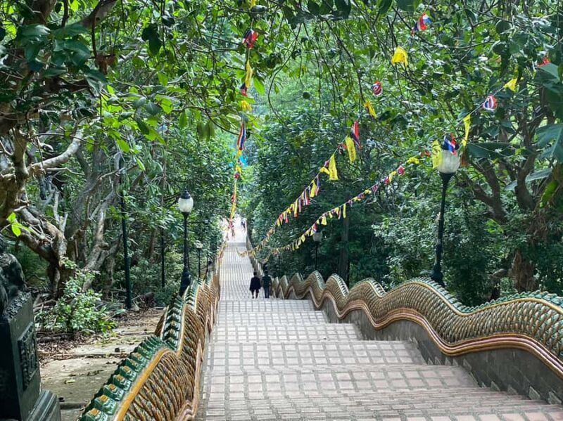 Elephant care with Wat Umong, Doi Suthep and Night City view - Frequently Asked Questions