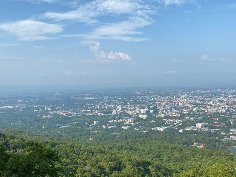 elephant-care-with-wat-umong-doi-suthep-and-night-city-view