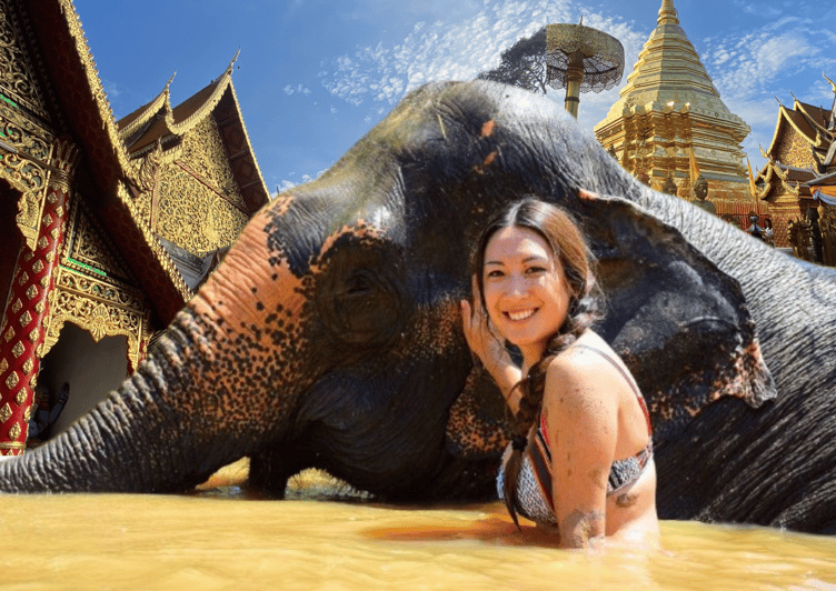 elephant-care-with-wat-umong-doi-suthep-and-night-city-view