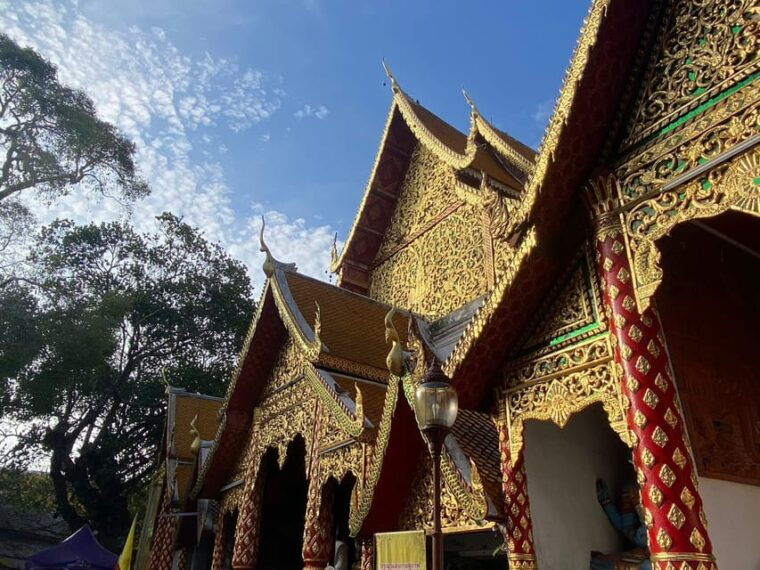 elephant-care-with-wat-umong-doi-suthep-and-night-city-view