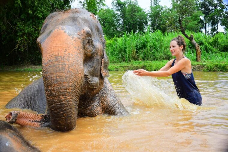 elephant-care-with-wat-umong-doi-suthep-and-night-city-view