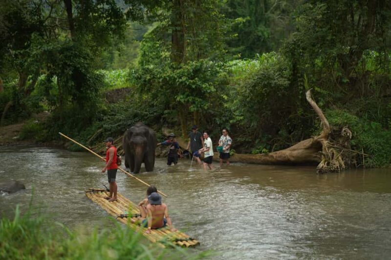 Elephant Eco Park Free Entry & ATV, Raft & Waterfall, Tribe - The Sum Up
