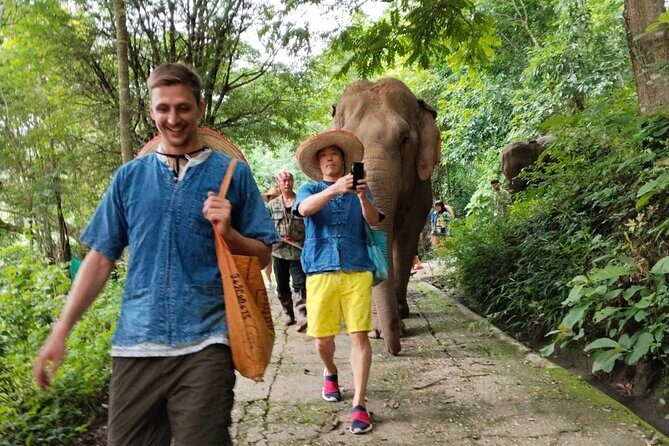 Elephant Experience and Hidden Jungle Waterfall Chiang Mai - FAQs