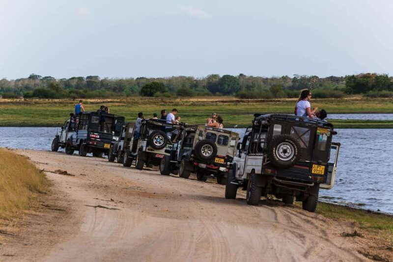 elephant-jeep-safari-at-minneriya-national-park