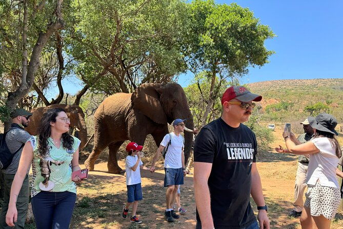 elephant-monkey-sanctuary-tour-from-johannesburg-2