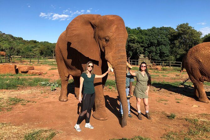 Elephant & Monkey Sanctuary Tour from Johannesburg - Key Points