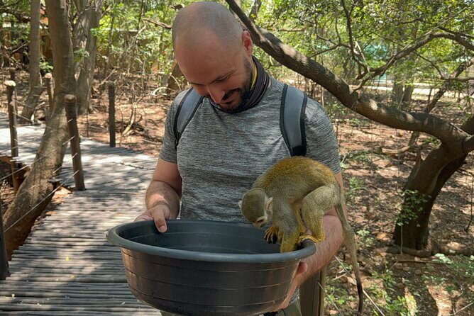 Elephant & Monkey Sanctuary Tour from Johannesburg - Why This Tour Offers Great Value