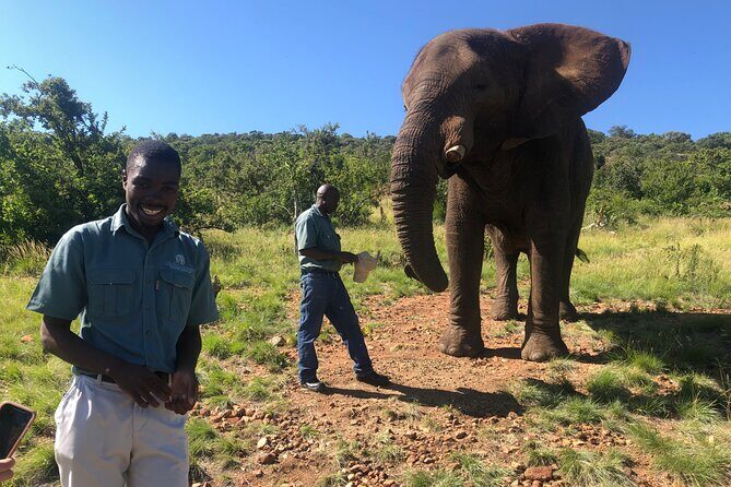 Elephant & Monkey Sanctuary Tour from Johannesburg - FAQs