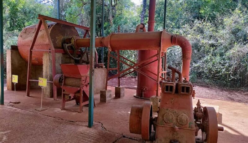 Elephant Orphanage and Karen Blixen Museum Day Tour - Final Thoughts