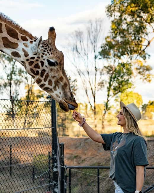 Elephant Orphanage & Giraffe Center Day Tour - FAQ